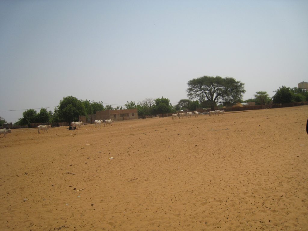 Without adequate rainfall, rural Senegal remains dusty and barren.