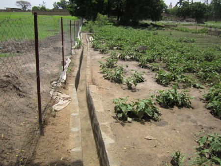 The completed trench effectively drains flood water from the garden plot.