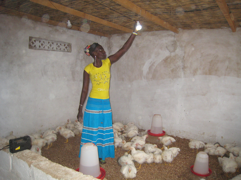Walla Top, a member of the Ouarkhokh poultry cooperative, adjusts lights in the community’s poultry shed.  Nighttime light reduces stress in the chickens.