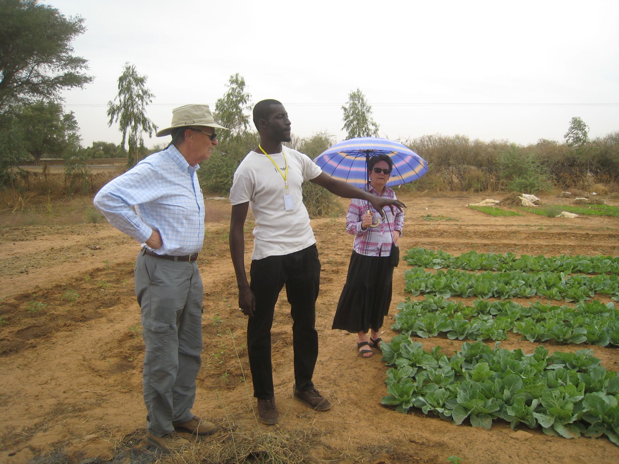 CREATE! Field Technician Amadou Diouf shows Ron and Pam Taylor thriving cabbage beds in the Ouarkhokh cooperative garden. CREATE! Cooperative groups in Ouarkhokh are the first to grow cabbage locally.