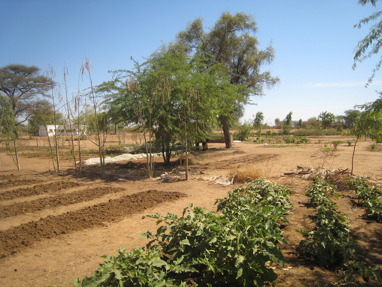 The Ouarkhokh cooperative has accomplished so much in the past four years. Think of what they can accomplish when they are able to save time and labor with drip irrigation!