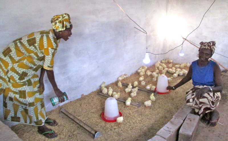 Women in Diender are so happy to begin raising poultry in their community!
