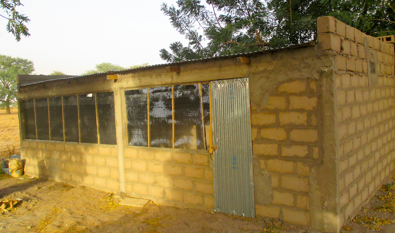 With their new poultry shed, women in Thieneba will be able to raise 100 chickens for sale every 60 days.