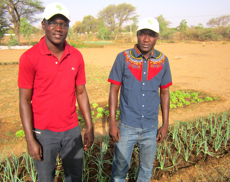 Diagne (red shirt) and Ousmane are thrilled to work as part of CREATE!’s young, dynamic field team!