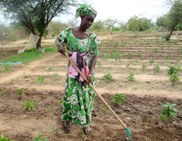 Ndeye is very happy that she now has the skills and knowledge to grow her own vegetables.
