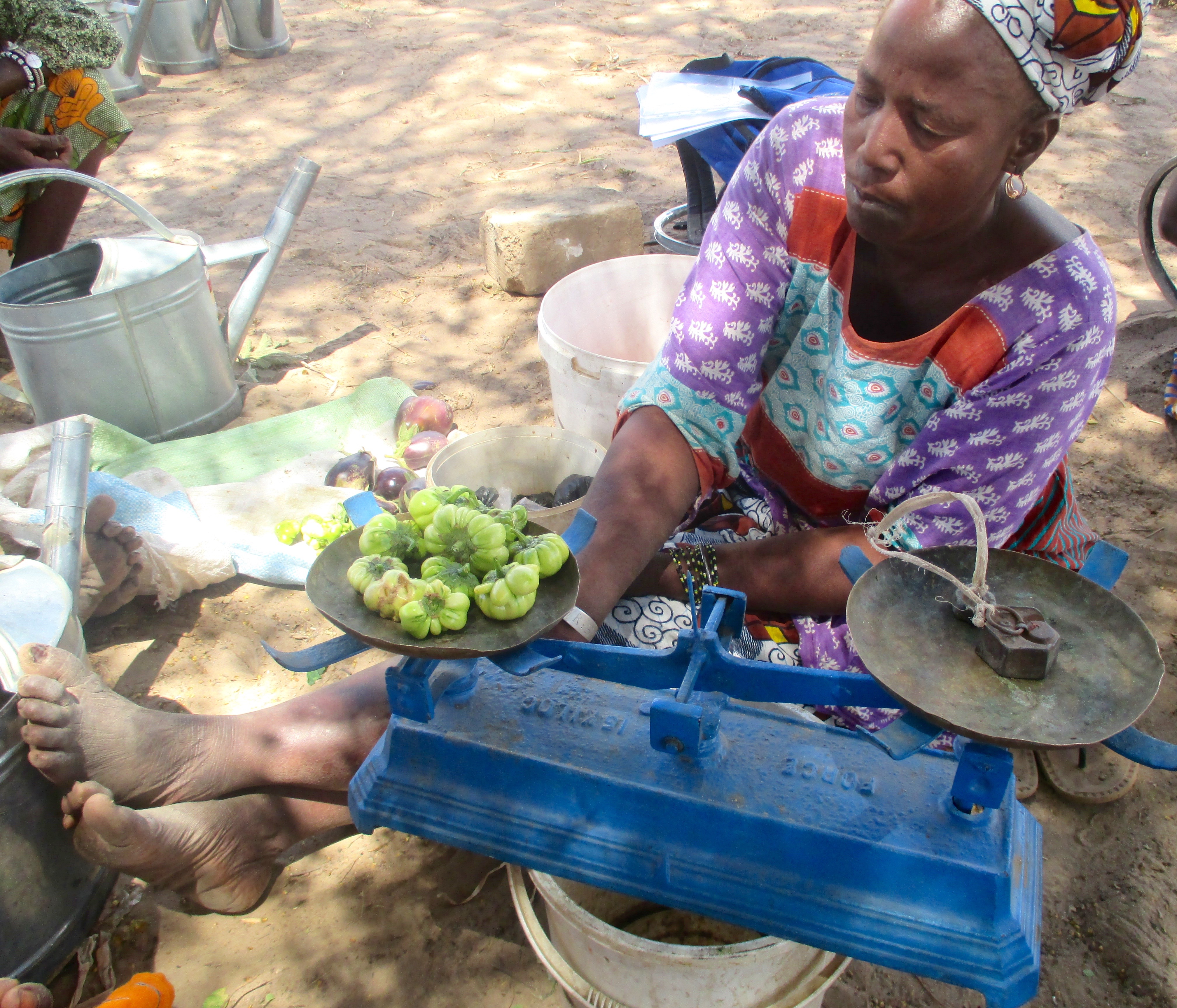 Rokhe weighs tomatoes in the Darou Diadji garden site