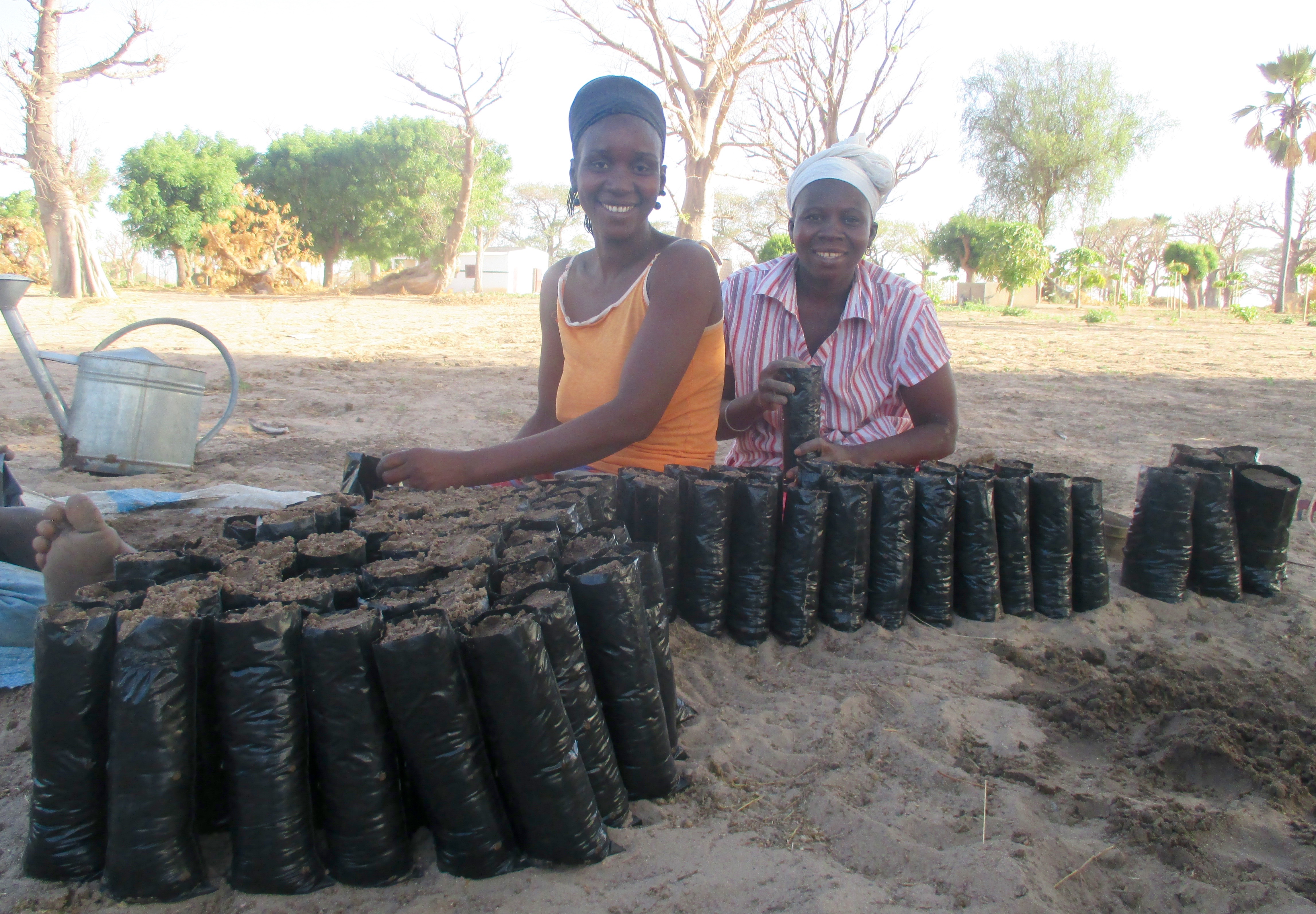 Developing Rural Communities: Preparing tree sachets
