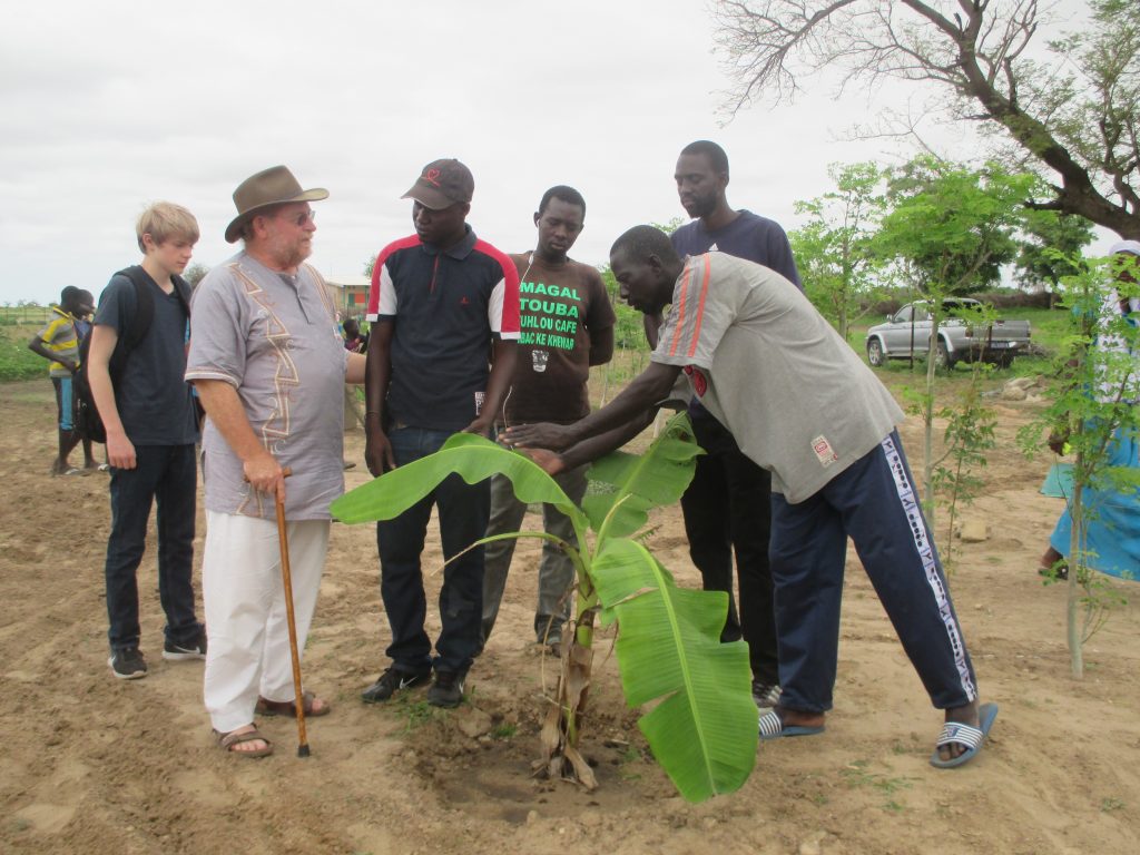 Senegal Field Report: Barry met with groups helping with the annual tree planting campaign