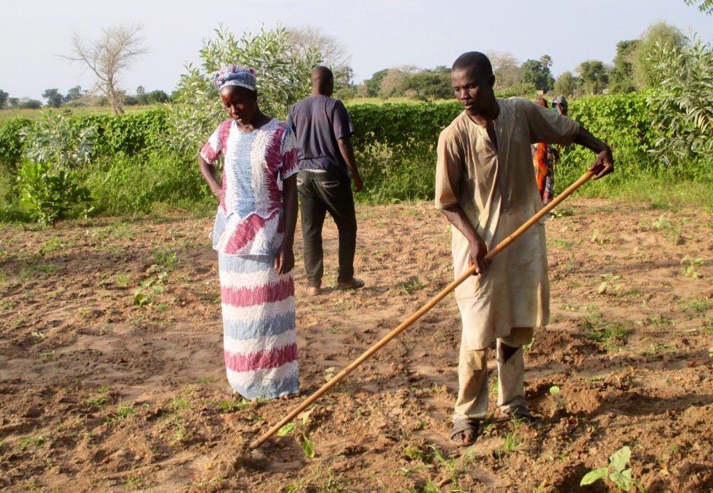 Unemployment in Rural Senegal is no longer a roadblock for Modou