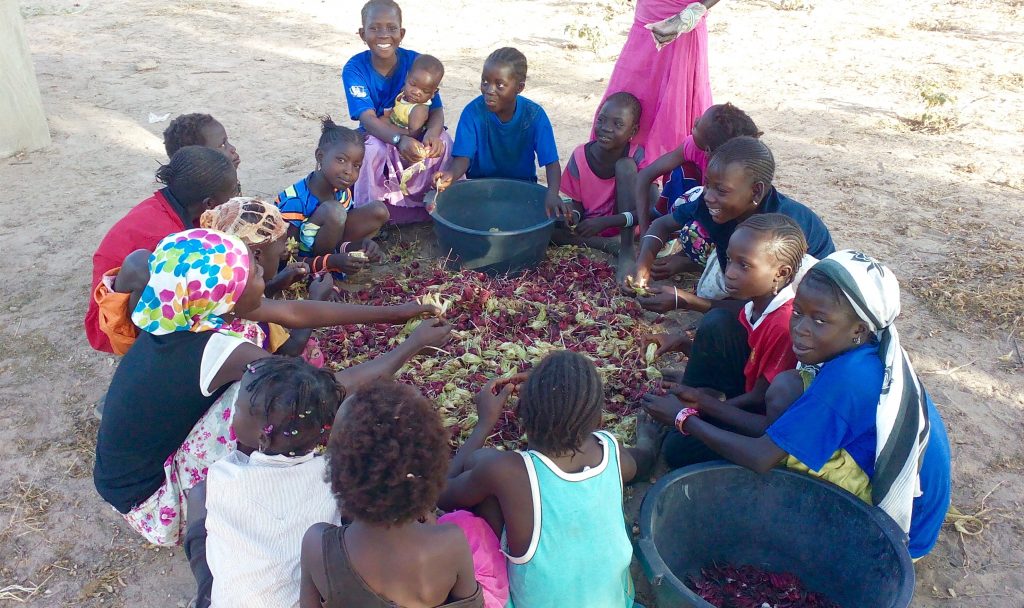 Soupoukandia: Growing What We Eat