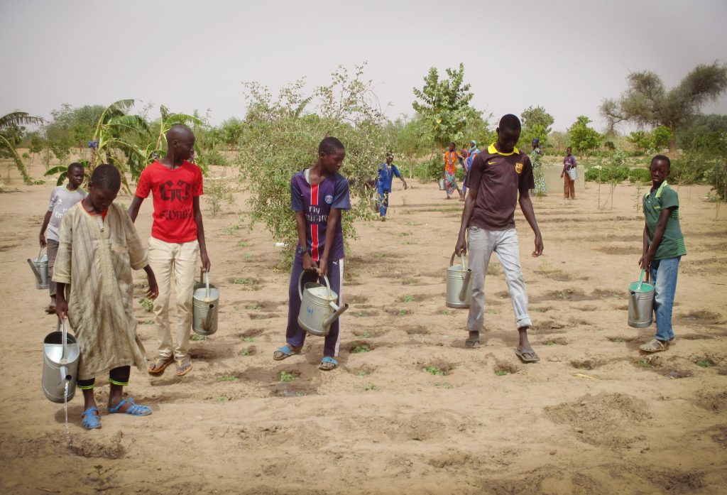 Fresh Vegetables Improving Health: Young men from Darou Diadji water the garden