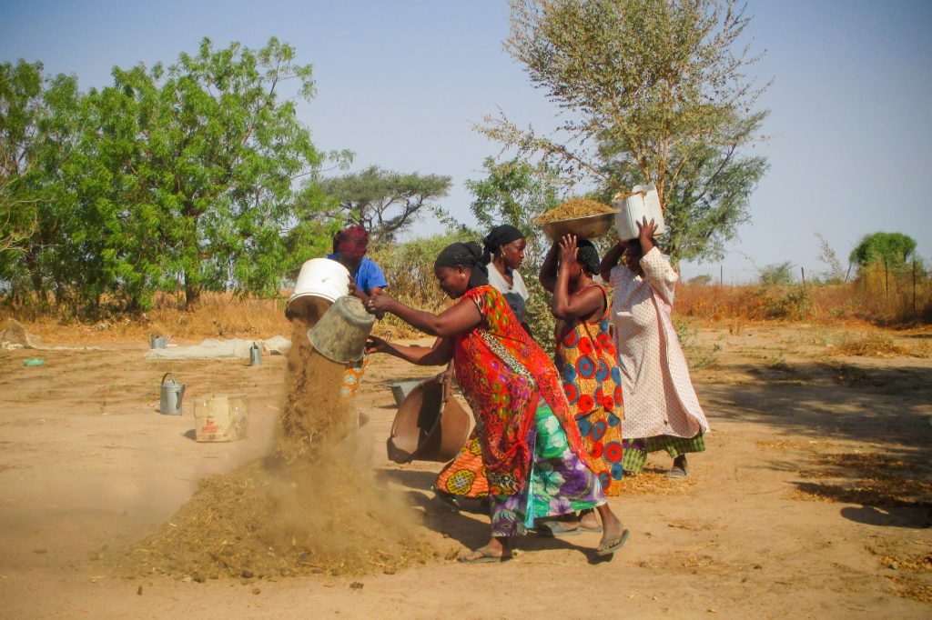 Photo Highlights from Senegal: Women in Diender maintain the garden's compost
