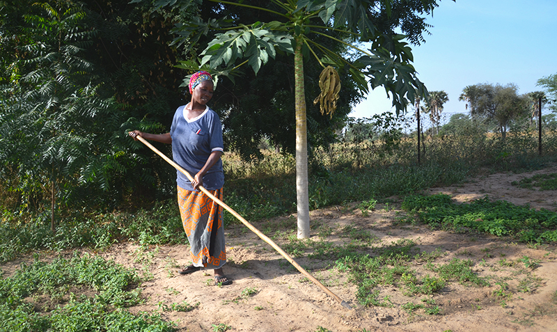 Improving Her Family’s Health & Security