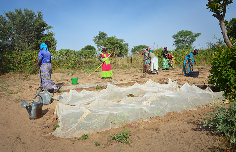 healthandfoodsecurity