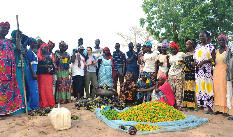 Delving into Senegalese Culture | Philanthropy in West Africa